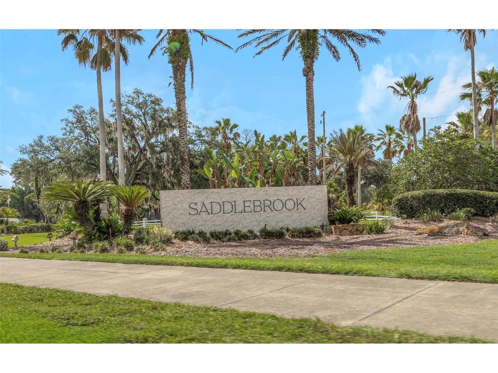 5331 Sand Crane Court Wesley Chapel FL 33543 TB8513771 image89