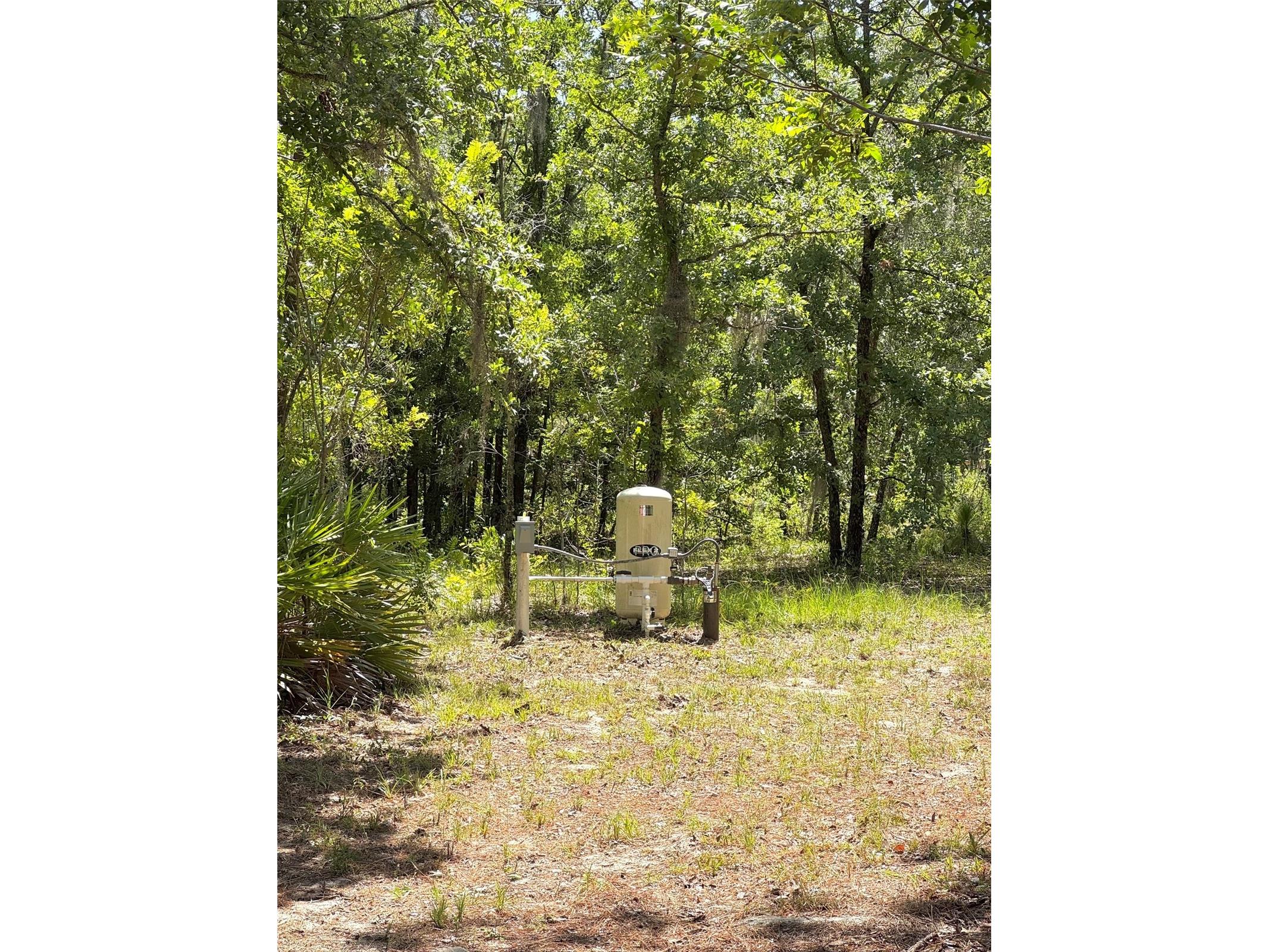5331 SE 122 Avenue Morriston FL 32668 GC541052 image33