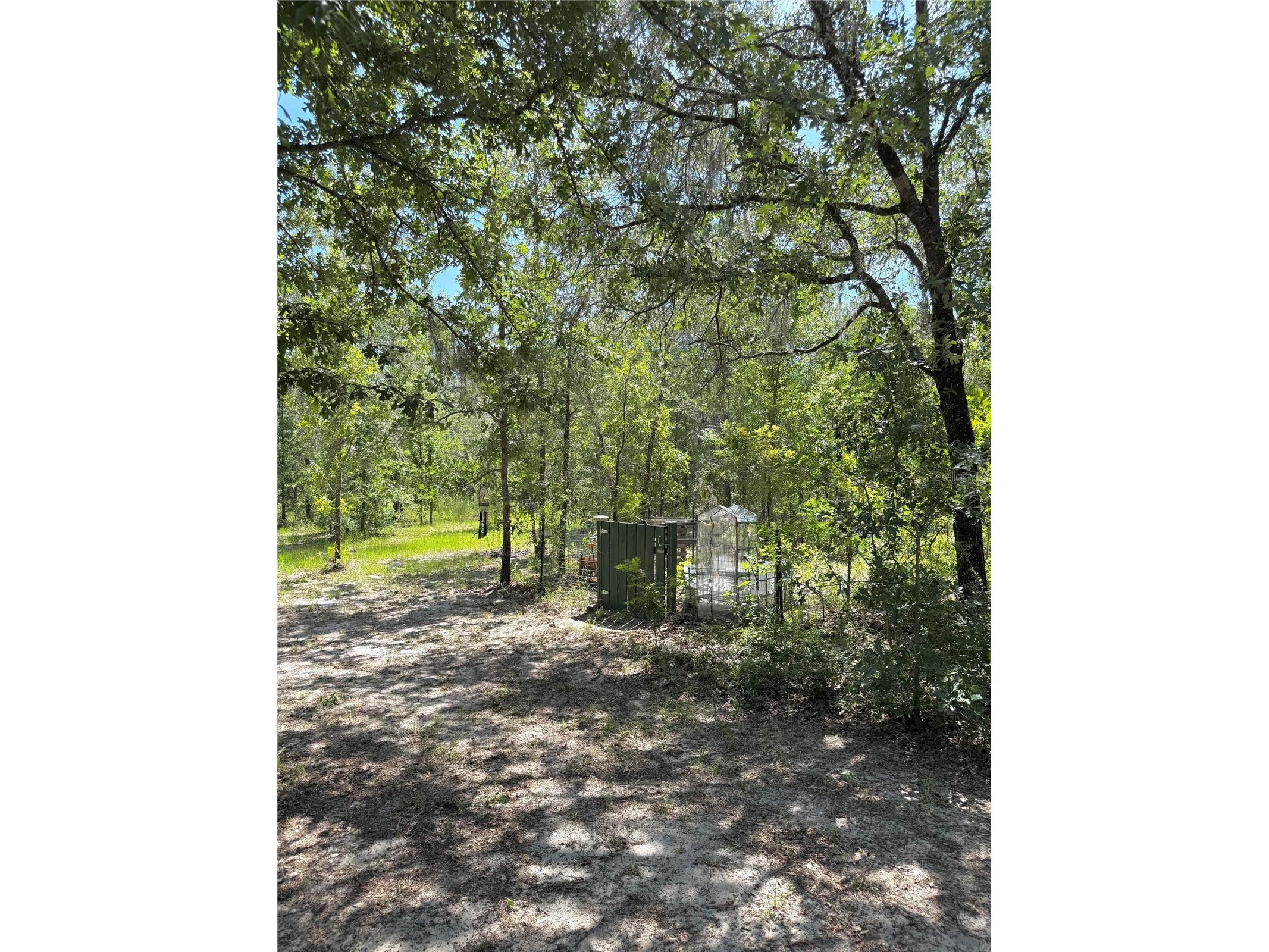 5331 SE 122 Avenue Morriston FL 32668 GC541052 image35