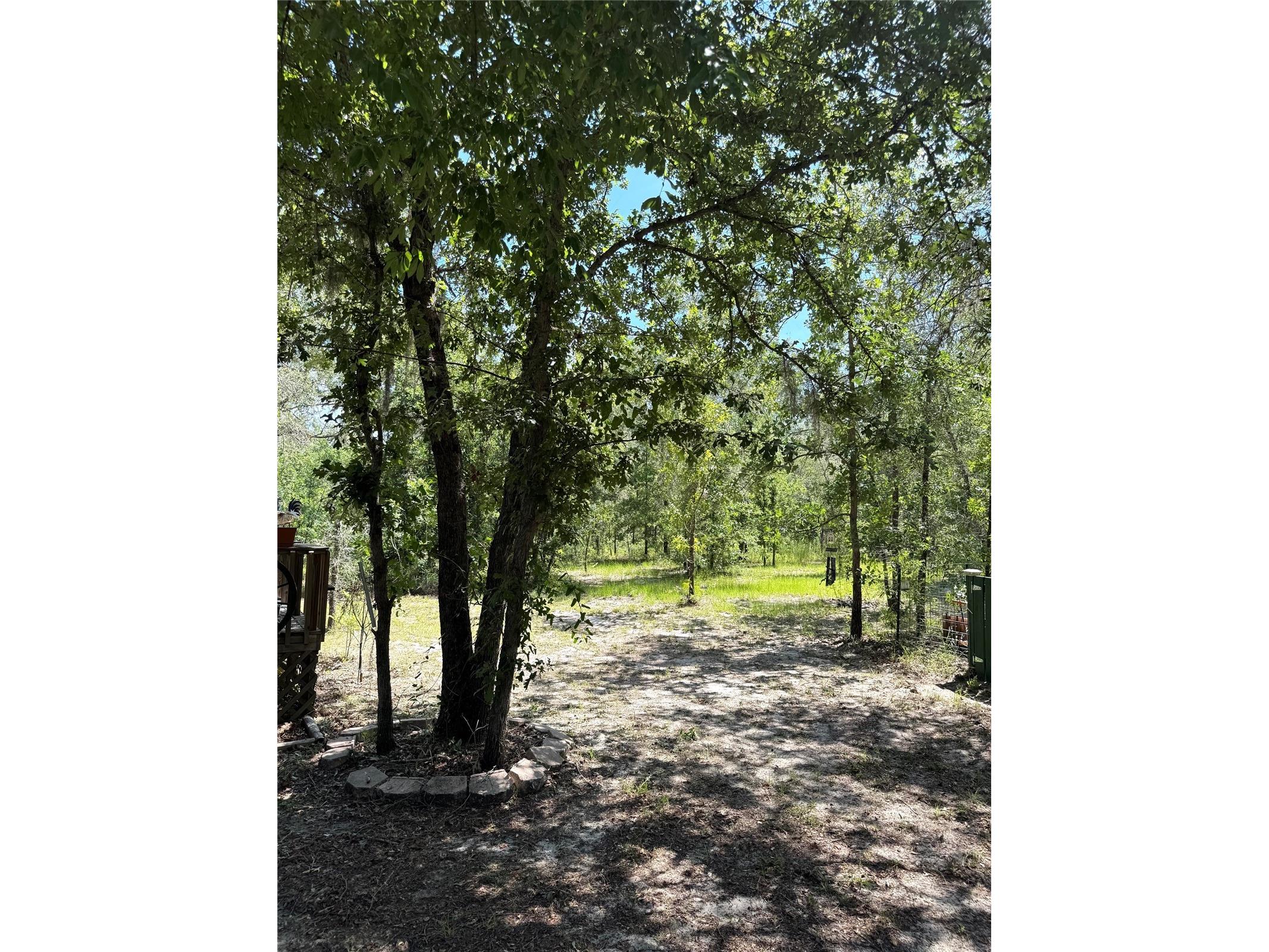 5331 SE 122 Avenue Morriston FL 32668 GC541052 image36