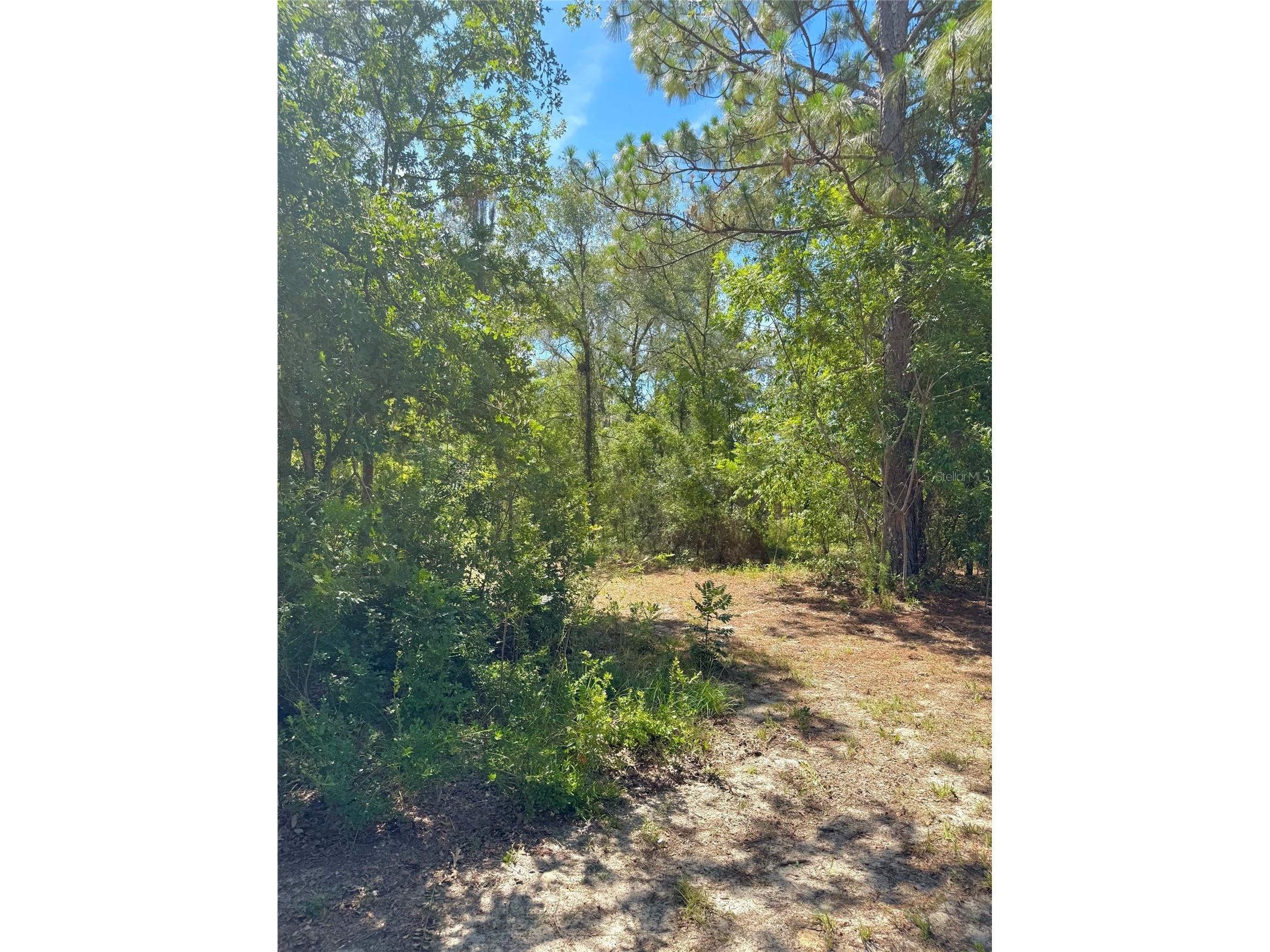 5331 SE 122 Avenue Morriston FL 32668 GC541052 image37
