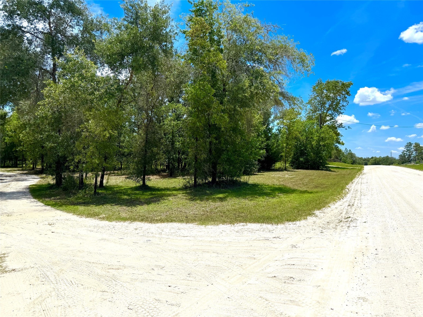 5331 SE 122 Avenue Morriston FL 32668 GC541052 image41