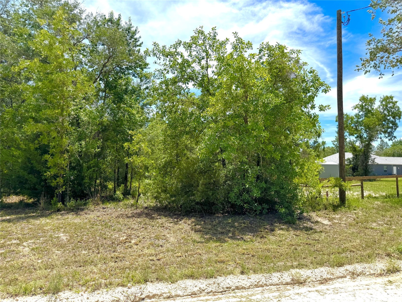 5331 SE 122 Avenue Morriston FL 32668 GC541052 image42