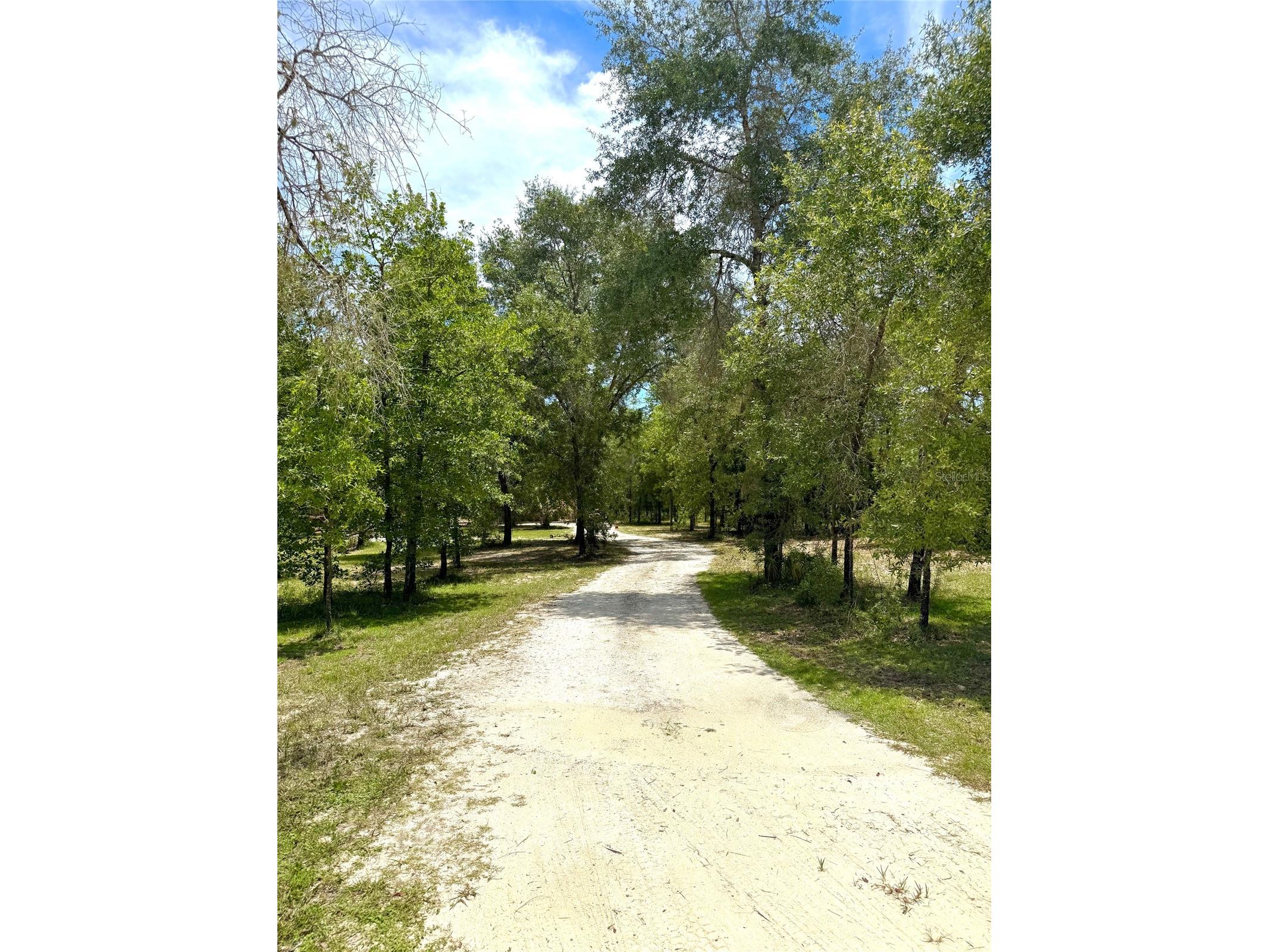 5331 SE 122 Avenue Morriston FL 32668 GC541052 image44