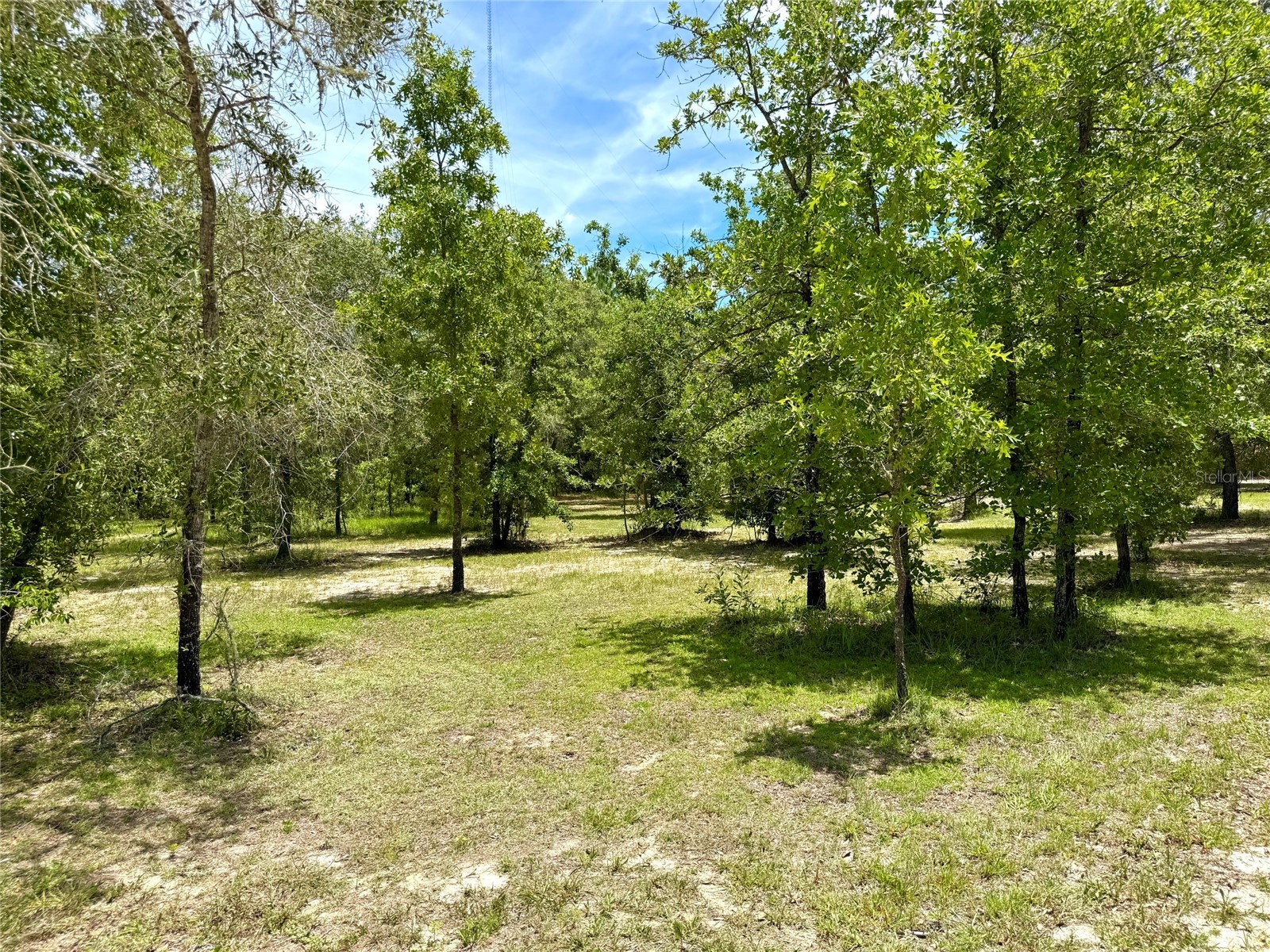 5331 SE 122 Avenue Morriston FL 32668 GC541052 image45