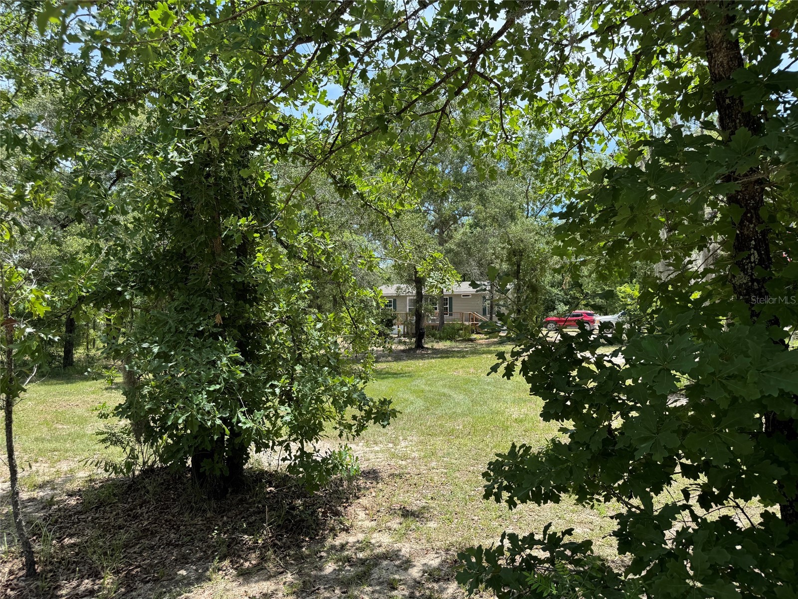 5331 SE 122 Avenue Morriston FL 32668 GC541052 image46