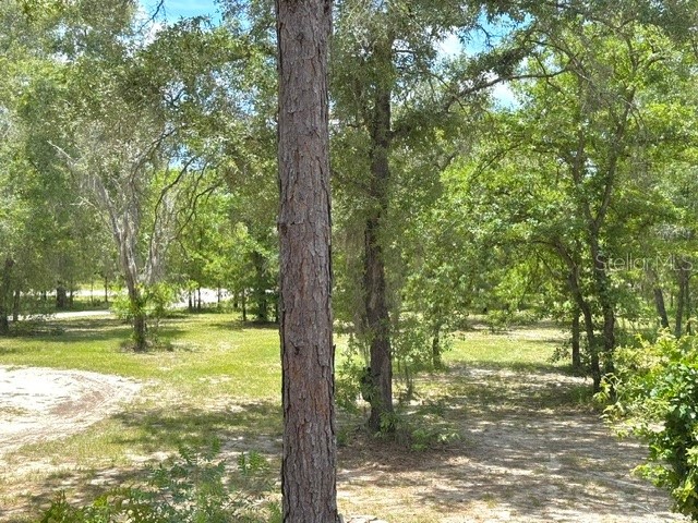 5331 SE 122 Avenue Morriston FL 32668 GC541052 image49