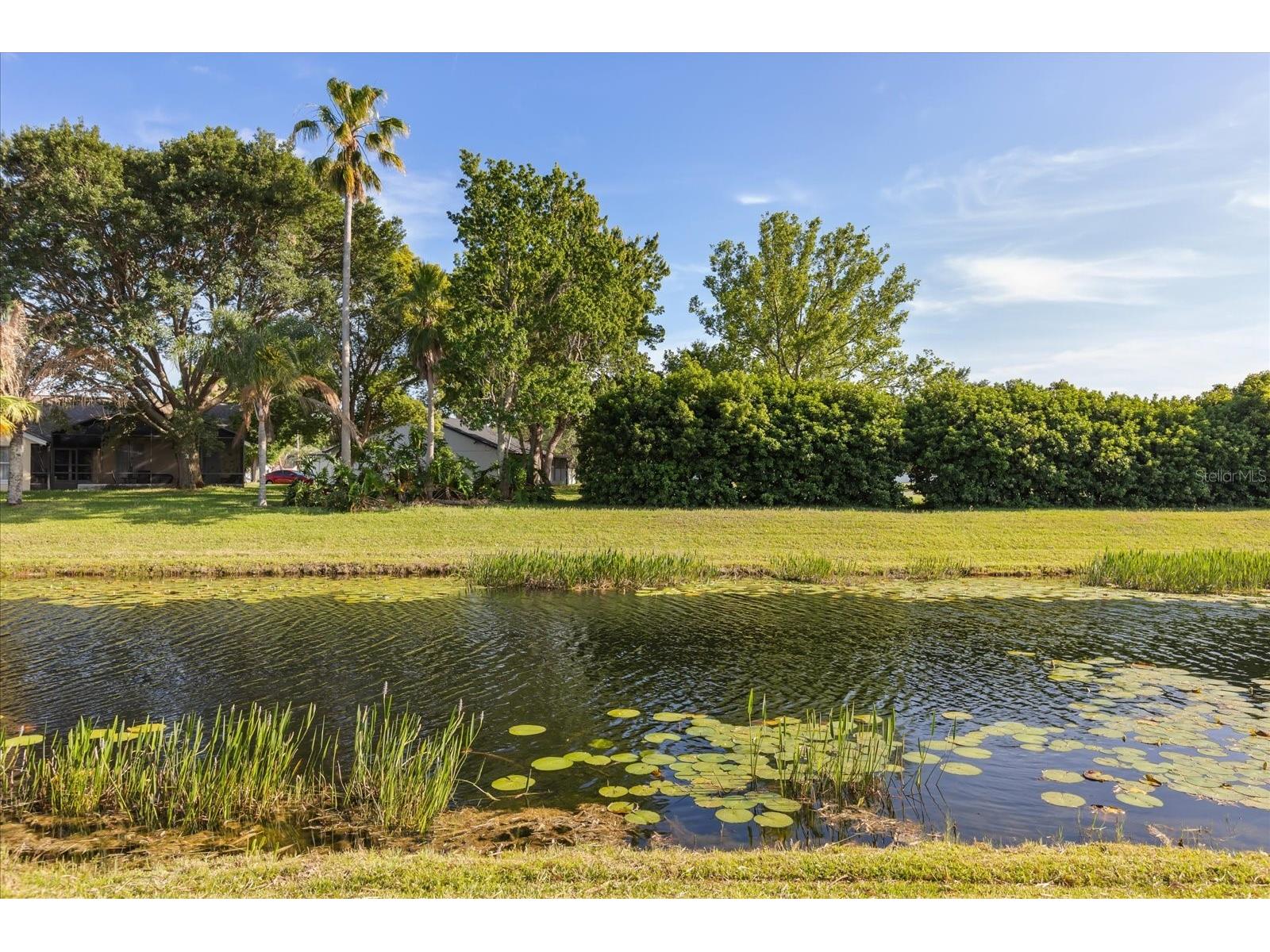 5332 Dorrington Lane Orlando FL 32821 O6393126 image28