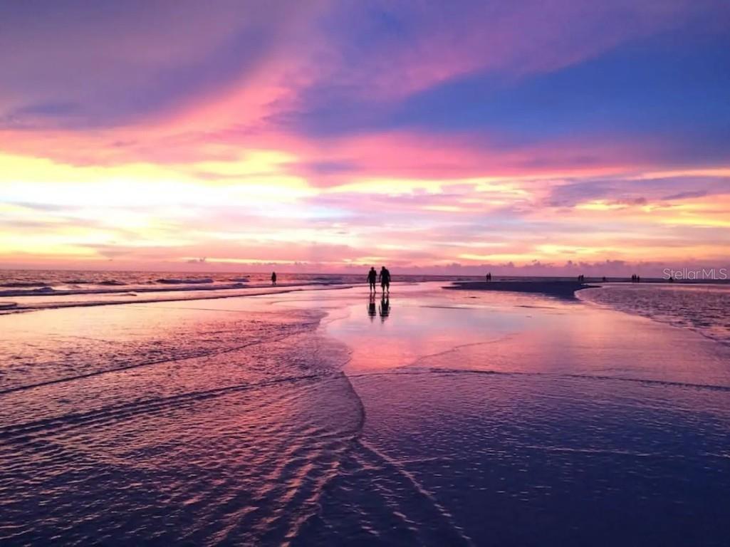 5332 Nutmeg Avenue Sarasota FL 34231 A4659079 image18