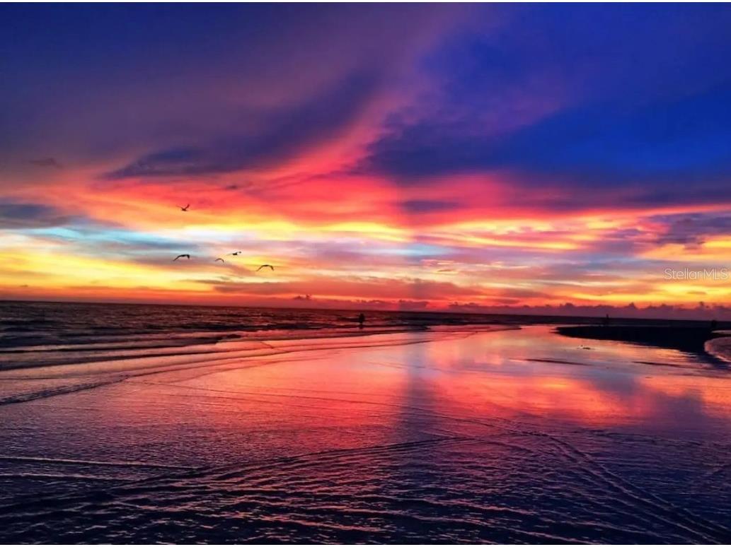 5332 Nutmeg Avenue Sarasota FL 34231 A4659079 image28