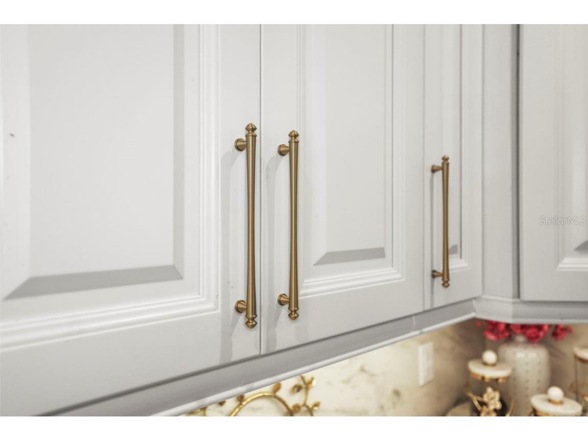 5332 Riverwalk Preserve Drive New Port Richey FL 34653 - COTEE RIVER TB8388337 image11