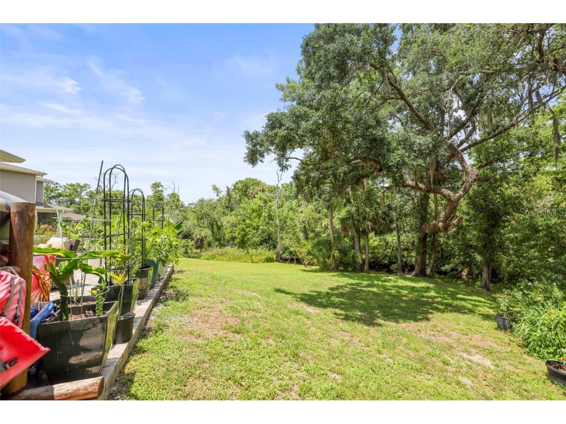 5332 Riverwalk Preserve Drive New Port Richey FL 34653 - COTEE RIVER TB8388337 image45