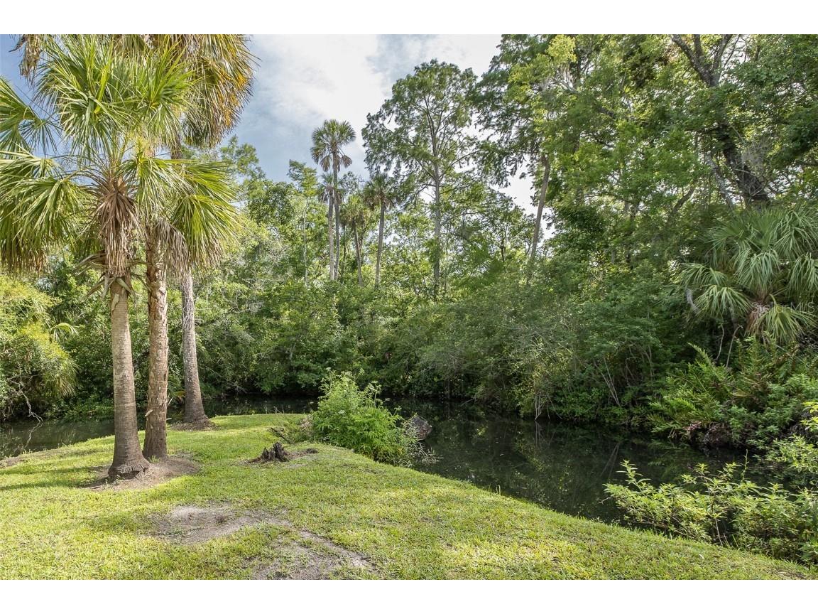 5332 Riverwalk Preserve Drive New Port Richey FL 34653 - COTEE RIVER TB8388337 image46
