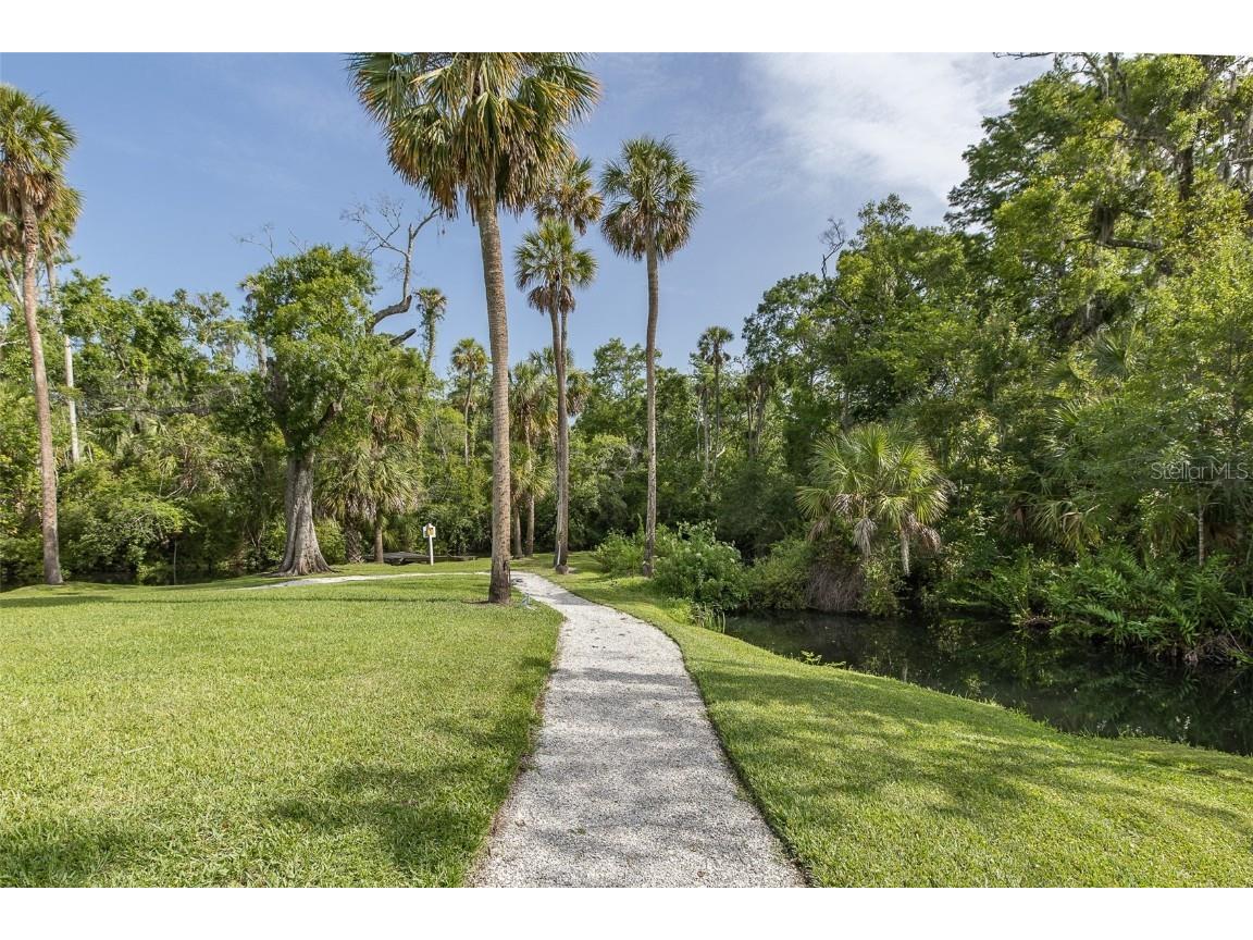 5332 Riverwalk Preserve Drive New Port Richey FL 34653 - COTEE RIVER TB8388337 image53