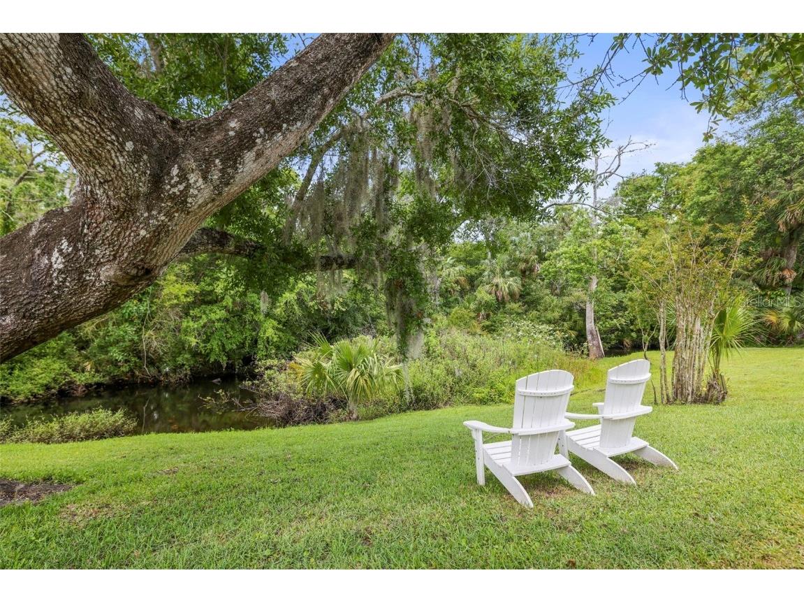 5332 Riverwalk Preserve Drive New Port Richey FL 34653 - COTEE RIVER TB8388337 image54