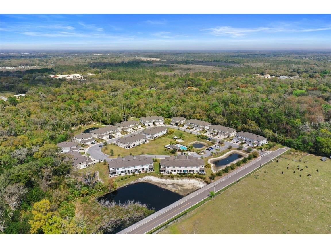 5332 Riverwalk Preserve Drive New Port Richey FL 34653 - COTEE RIVER TB8388337 image66