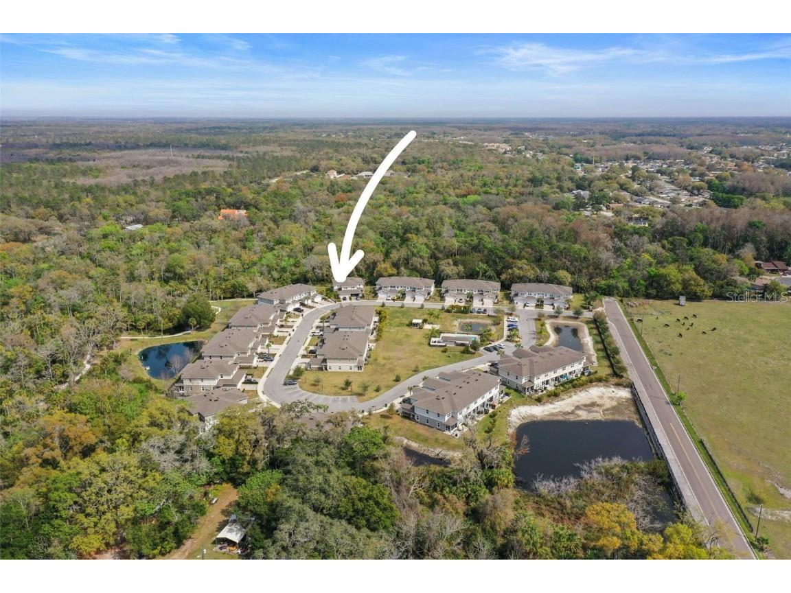 5332 Riverwalk Preserve Drive New Port Richey FL 34653 - COTEE RIVER TB8388337 image67