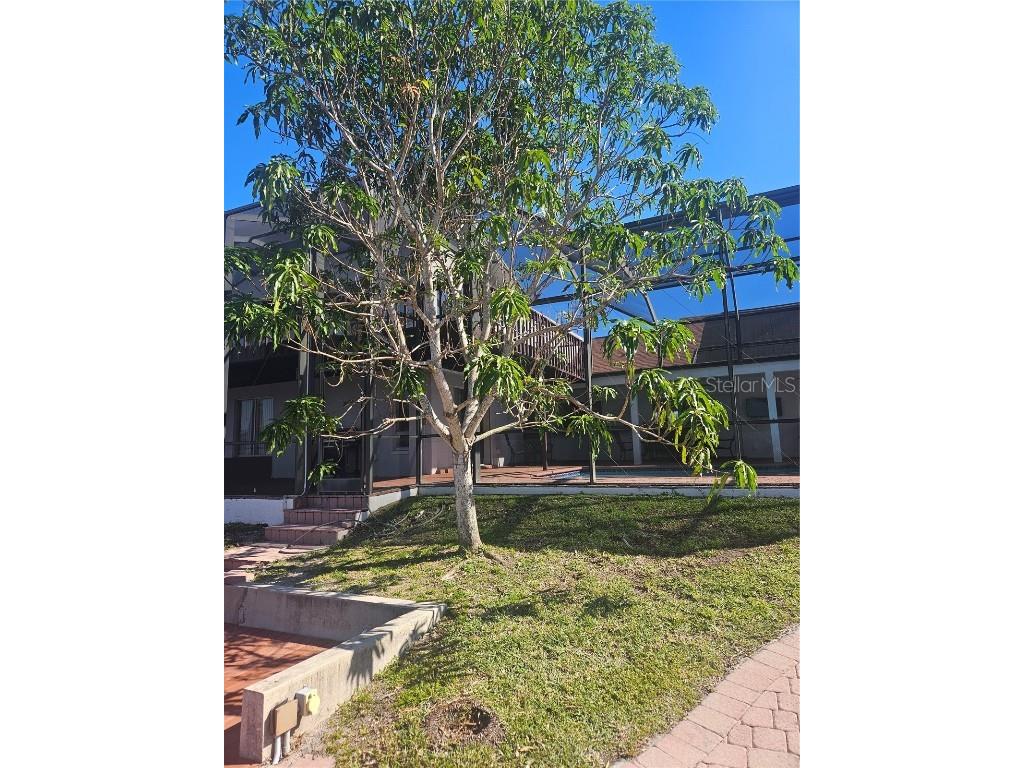 5332 SW 11th Place Cape Coral FL 33914 TB8368114 image42