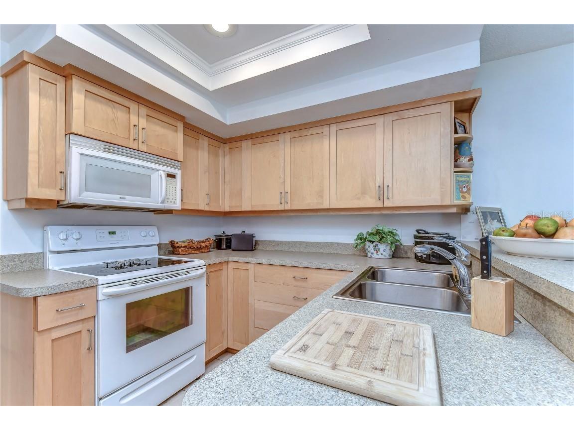 5333 Cobblestone Court Wesley Chapel FL 33543 TB8309659 image12