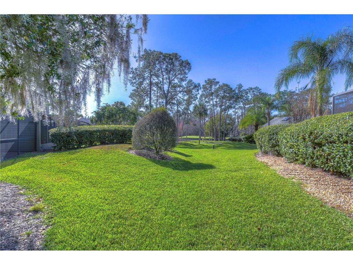 5333 Cobblestone Court Wesley Chapel FL 33543 TB8309659 image28