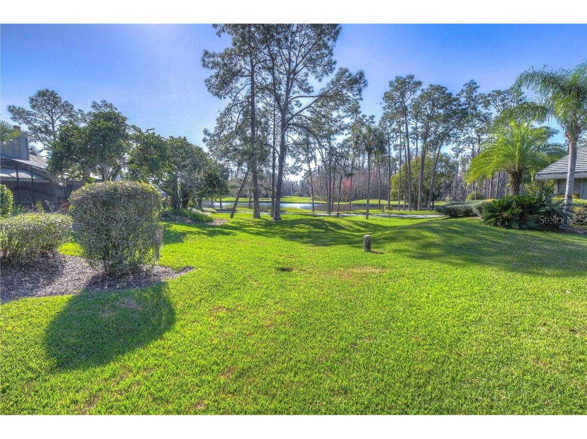 5333 Cobblestone Court Wesley Chapel FL 33543 TB8309659 image29