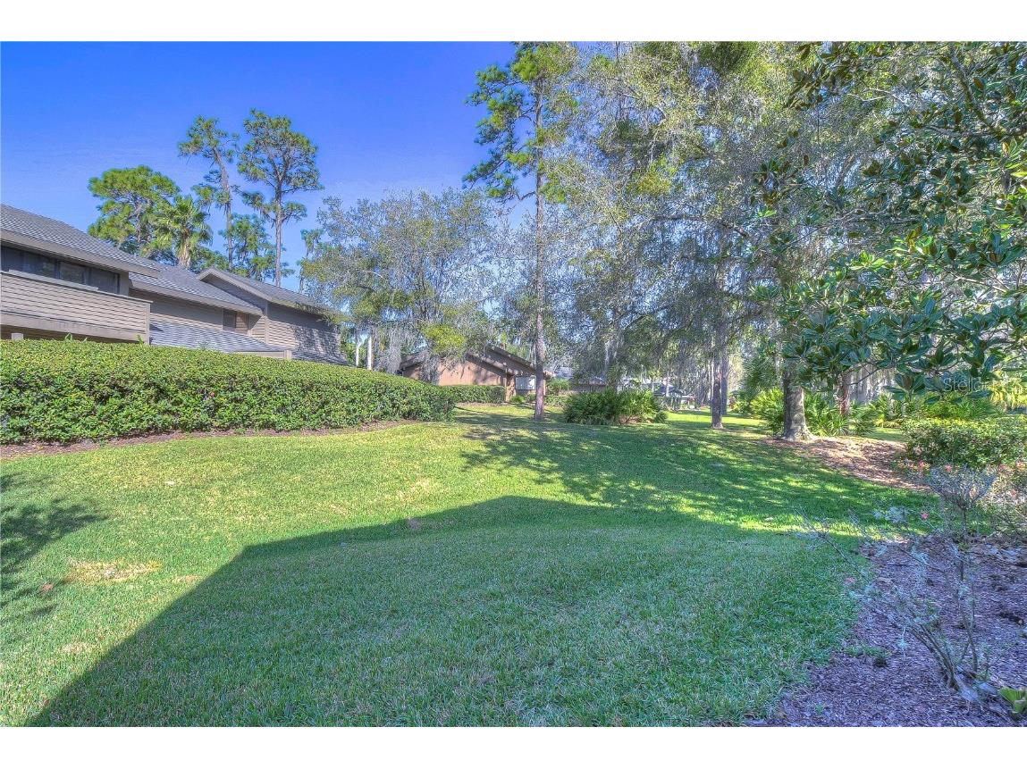 5333 Cobblestone Court Wesley Chapel FL 33543 TB8309659 image33