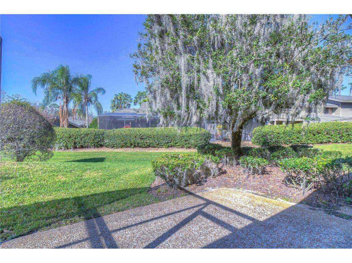 5333 Cobblestone Court Wesley Chapel FL 33543 TB8309659 image47