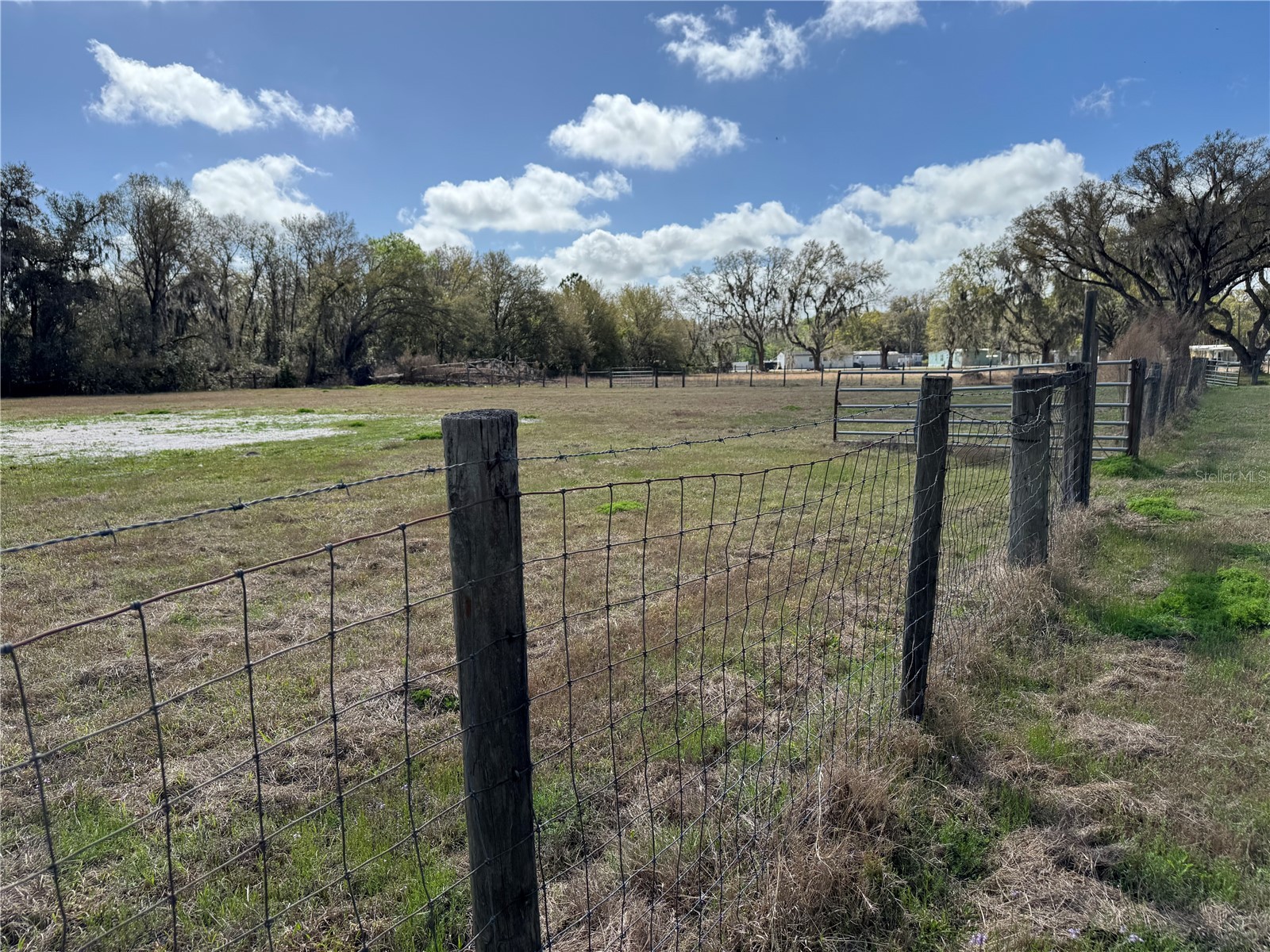 5333 Deeson Road Lakeland FL 33810 TB8486121 image38