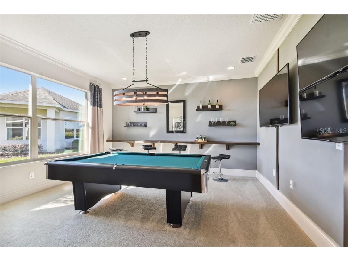 5333 Lake Venice Drive Wimauma FL 33598 - LAKE TOSCANA TB8459469 image14