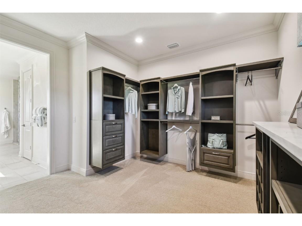 5333 Lake Venice Drive Wimauma FL 33598 - LAKE TOSCANA TB8459469 image19