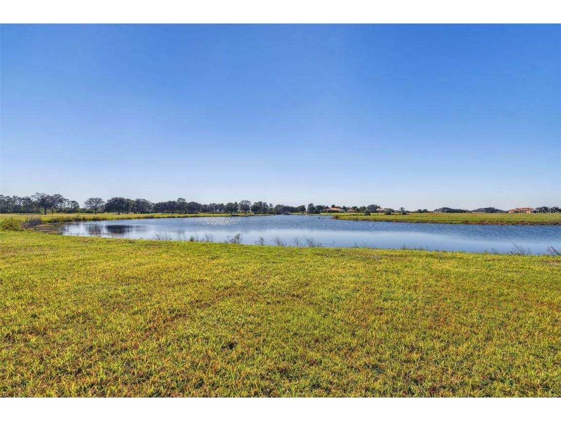 5333 Lake Venice Drive Wimauma FL 33598 - LAKE TOSCANA TB8459469 image29