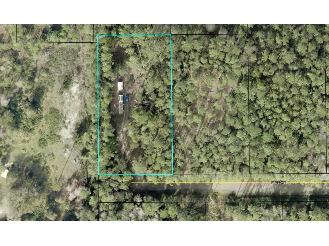 5334 Olive Avenue Bunnell FL 32110 FC310270 image1