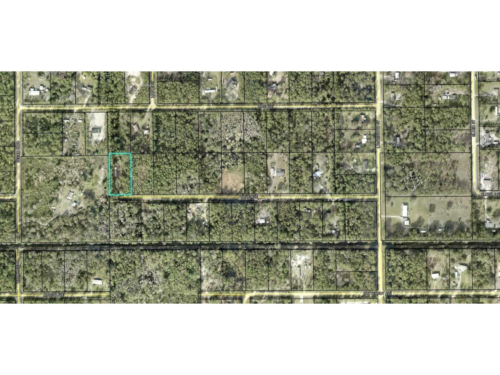 5334 Olive Avenue Bunnell FL 32110 FC310270 image2