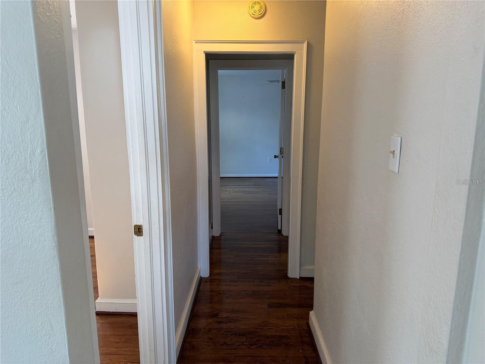 5335 6th Street Zephyrhills FL 33542 TB8473915 image9