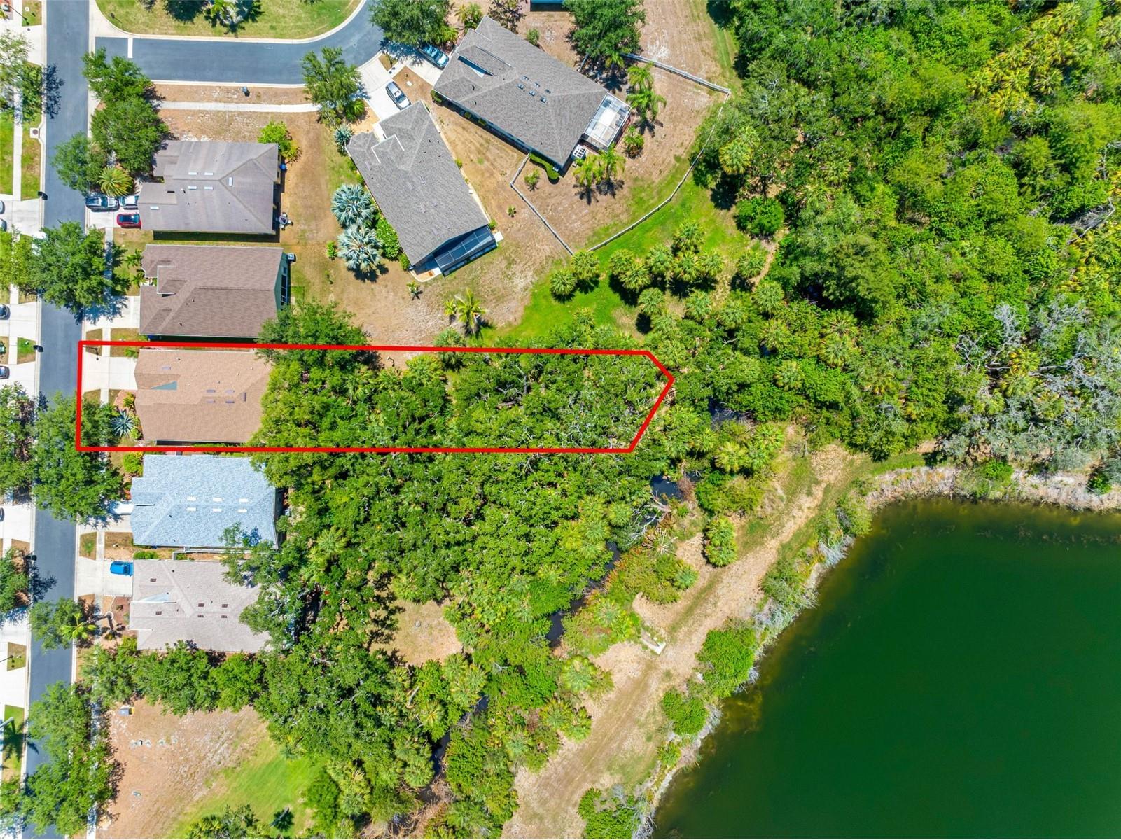 5335 Clover Mist Drive Apollo Beach FL 33572 - WOLF BRANCH CREEK TB8522880 image2