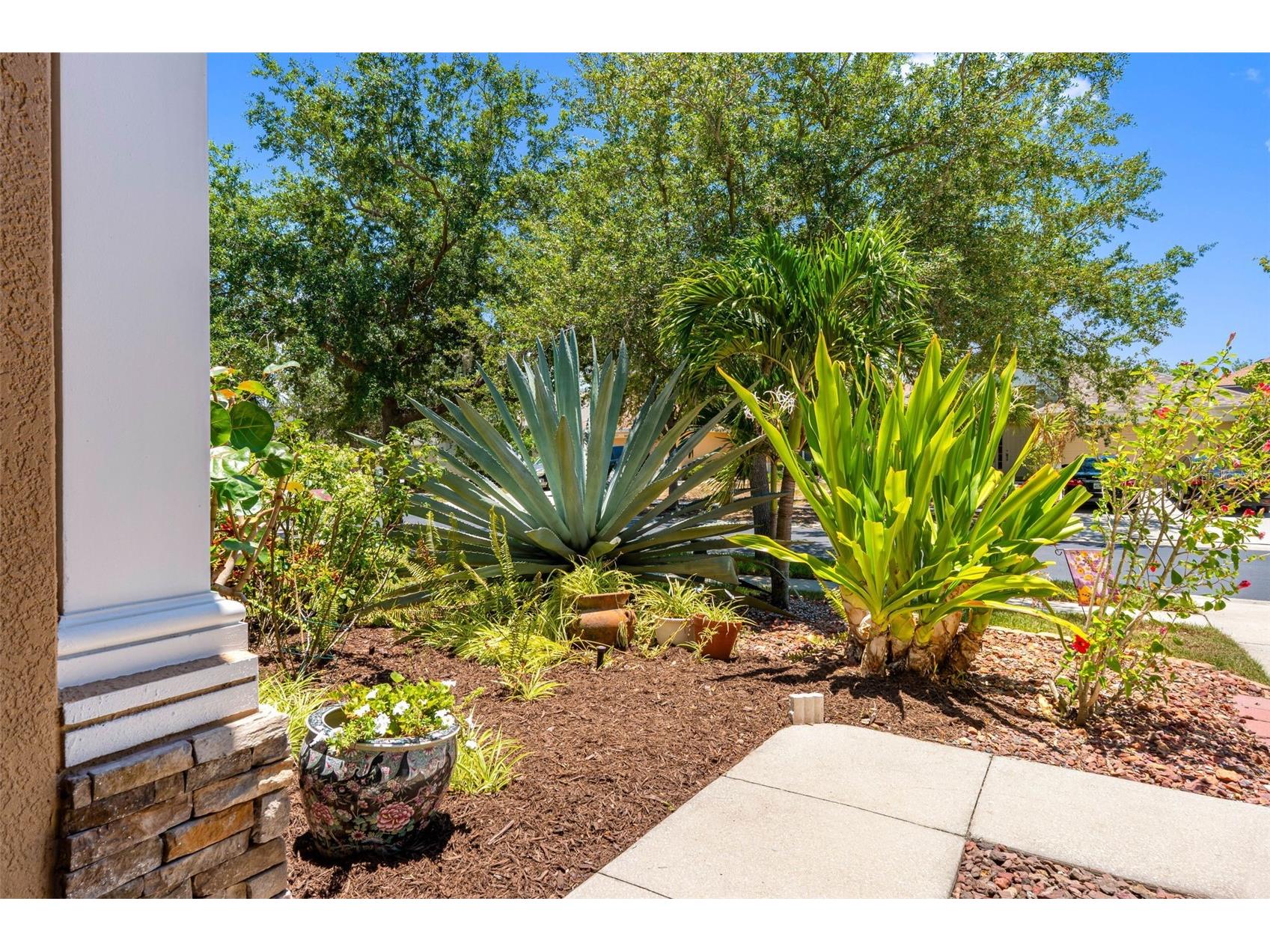 5335 Clover Mist Drive Apollo Beach FL 33572 - WOLF BRANCH CREEK TB8522880 image6