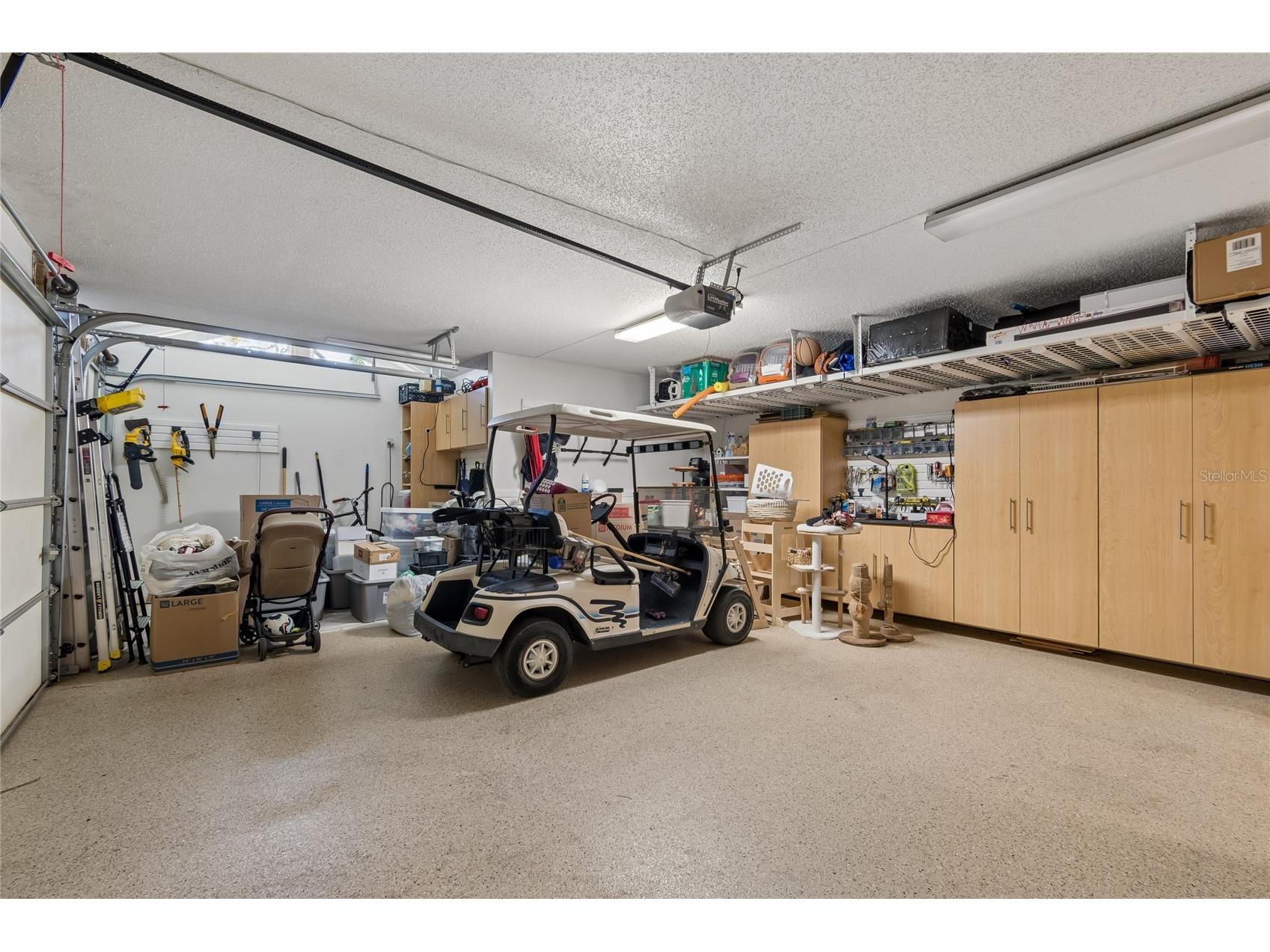 5335 Sand Crane Court Wesley Chapel FL 33543 TB8514006 image35