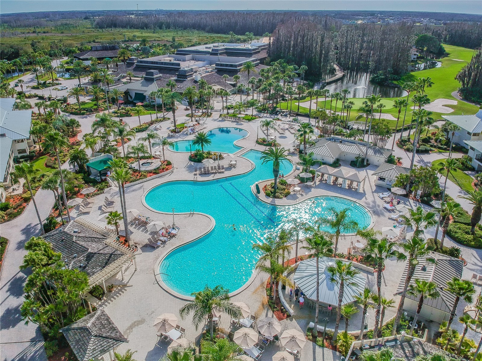 5335 Sand Crane Court Wesley Chapel FL 33543 TB8514006 image41