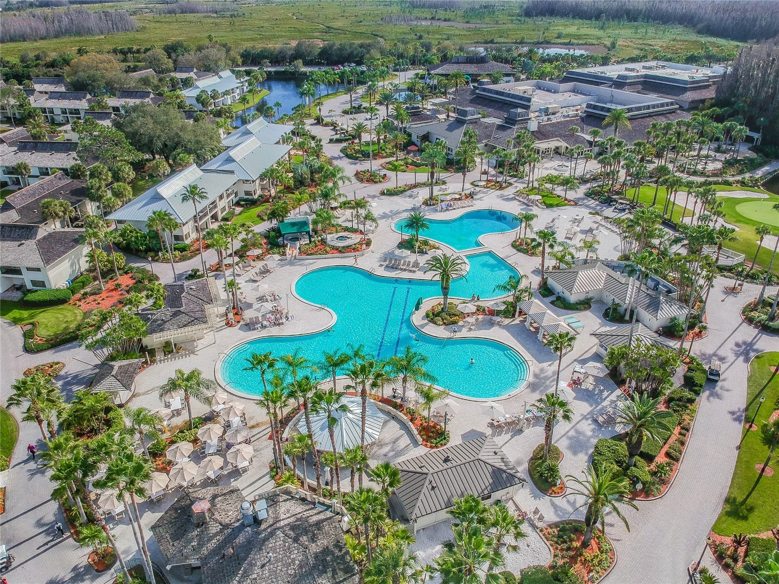 5335 Sand Crane Court Wesley Chapel FL 33543 TB8514006 image43
