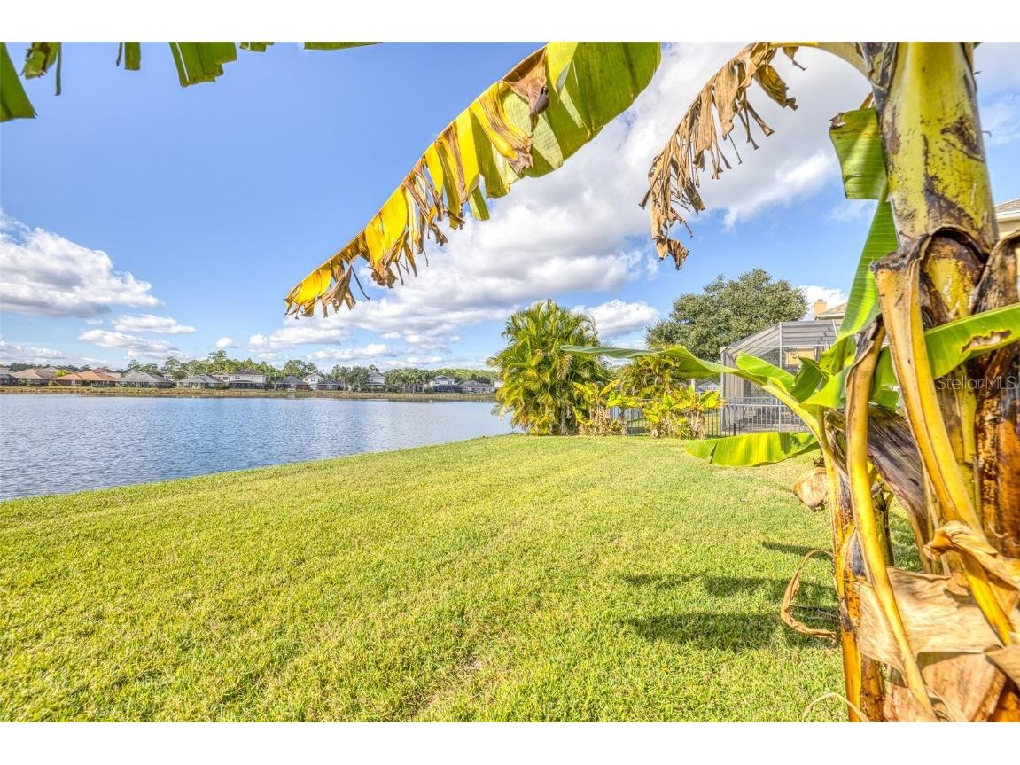 5336 Coquina Shores Lane Port Orange FL 32128 V4946209 image36