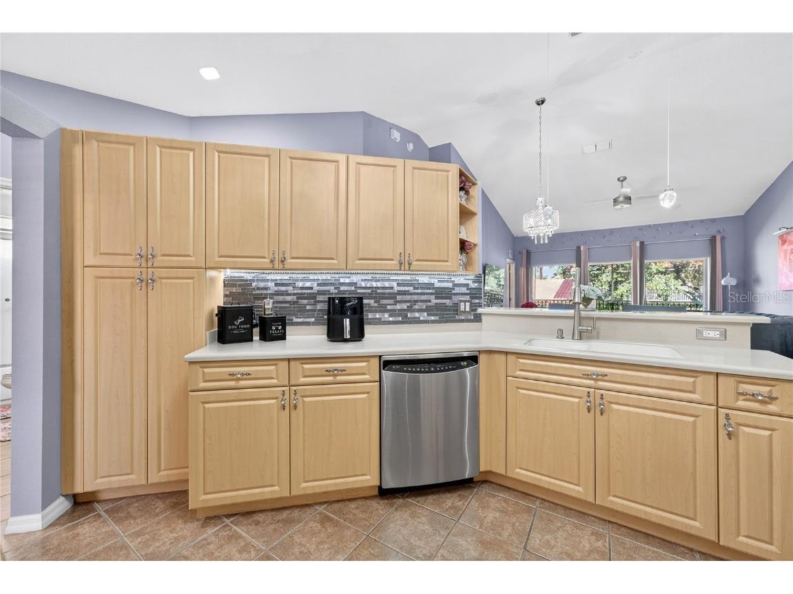 5336 Edgewater Way Oxford FL 34484 O6347999 image39