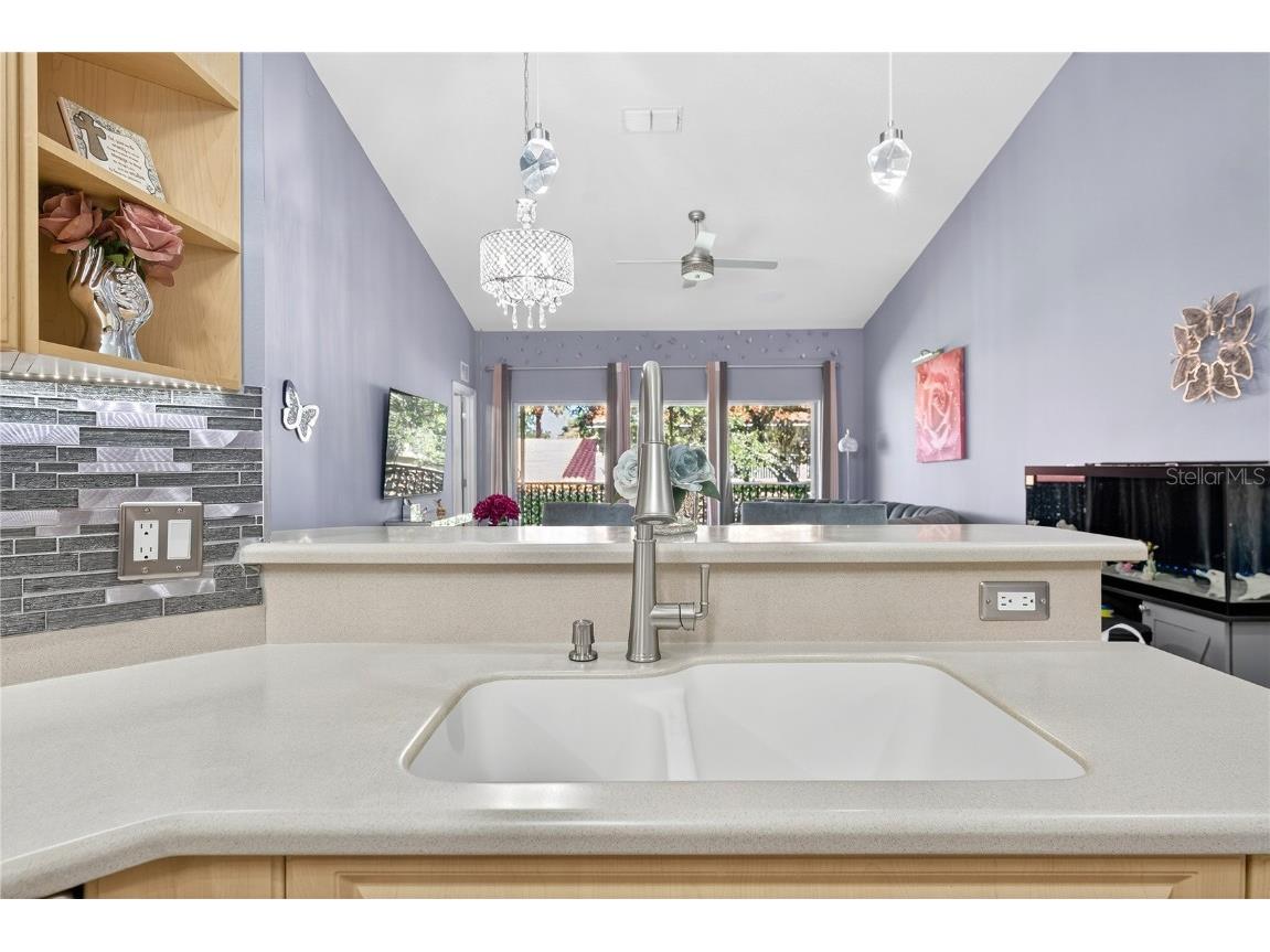 5336 Edgewater Way Oxford FL 34484 O6347999 image40