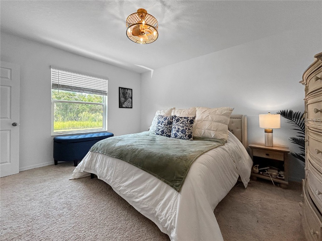 5336 Patano Loop Palmetto FL 34221 TB8398427 image15