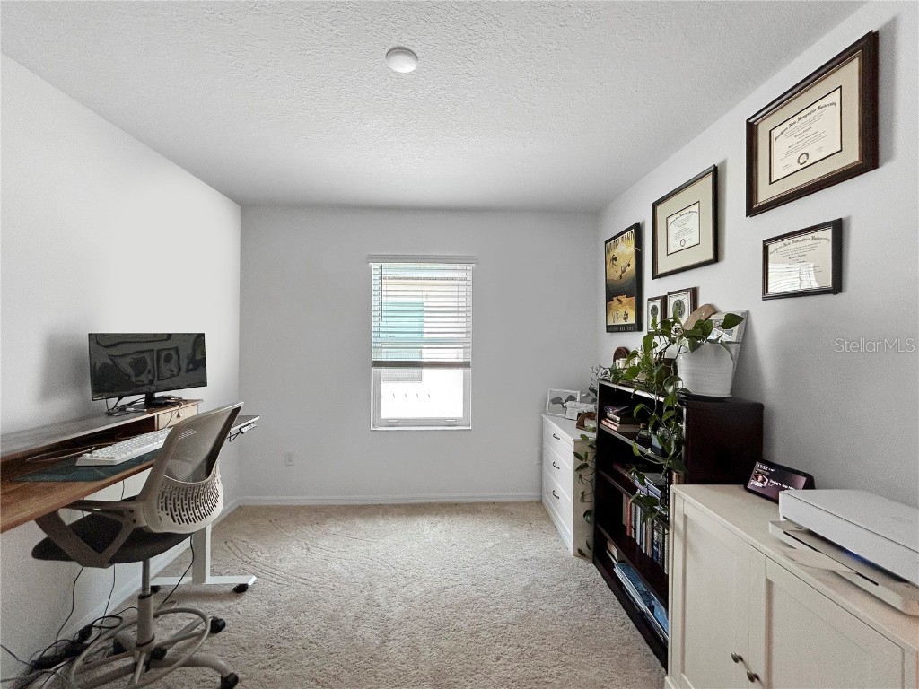 5336 Patano Loop Palmetto FL 34221 TB8398427 image24