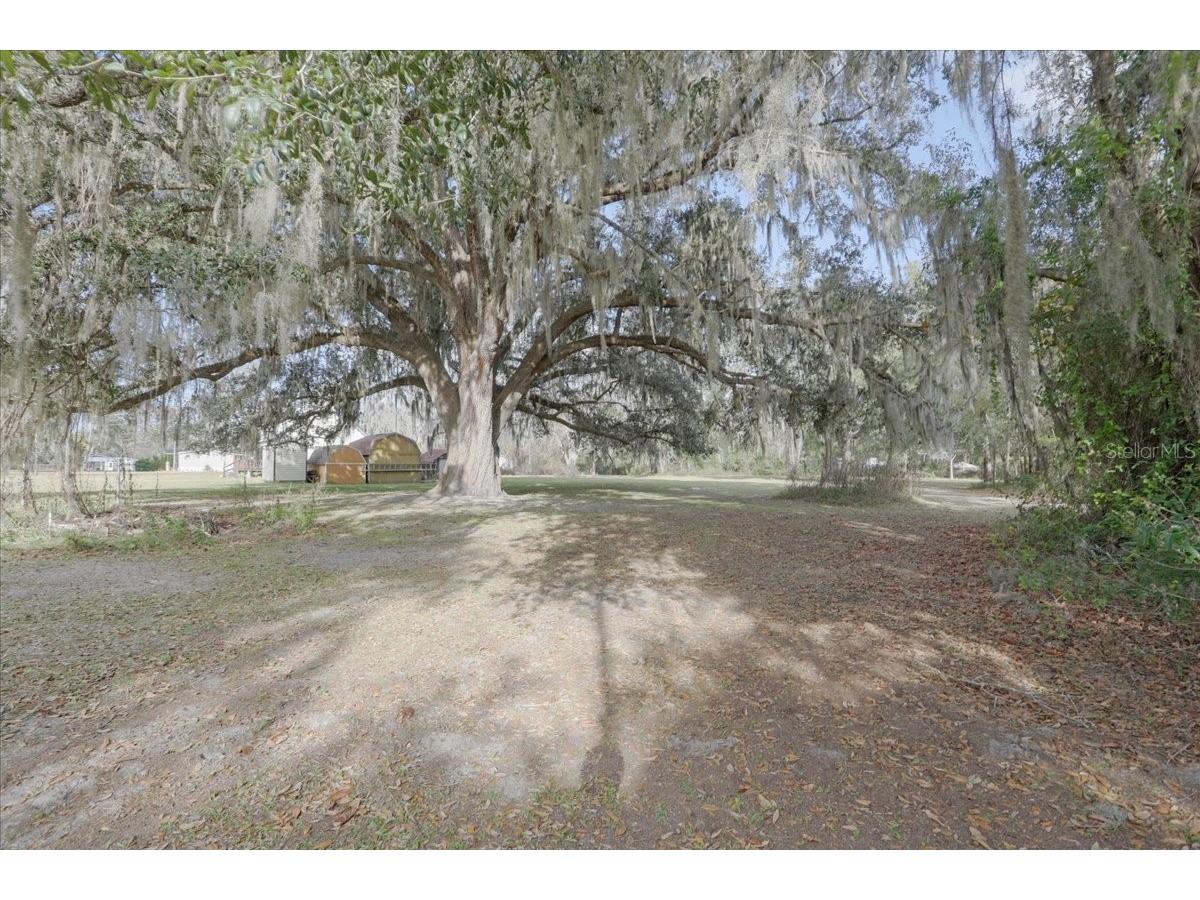 5336 SW County Road 791 Lake Butler FL 32054 GC536165 image22
