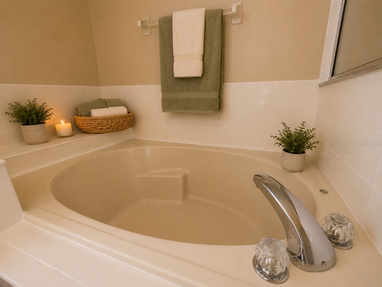 5336 Tidewater Street Leesburg FL 34748 O6410903 image19