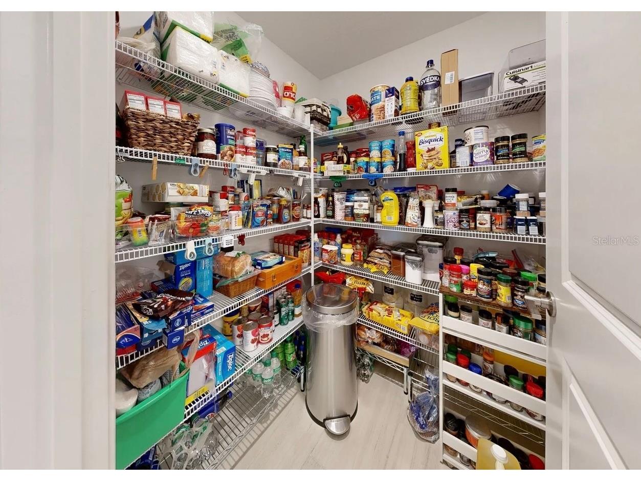 5336 Windy Grove Drive Wimauma FL 33598 TB8494141 image16