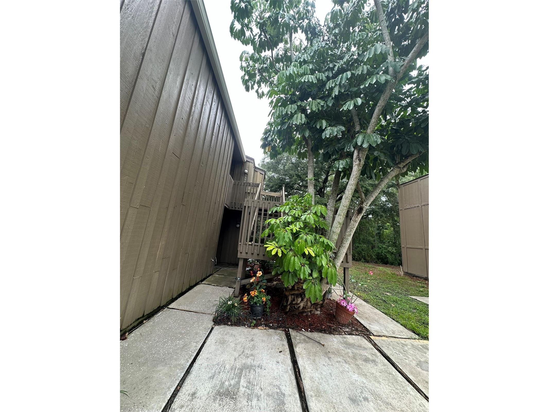 5337 Indian Creek Drive #C-4-1 Orlando FL 32811 O6426241 image16