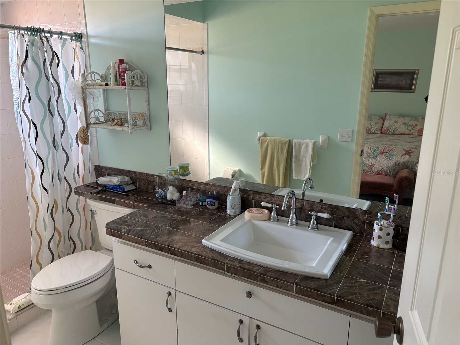 5338 Spanish Trail Holiday FL 34690 TB8462546 image17