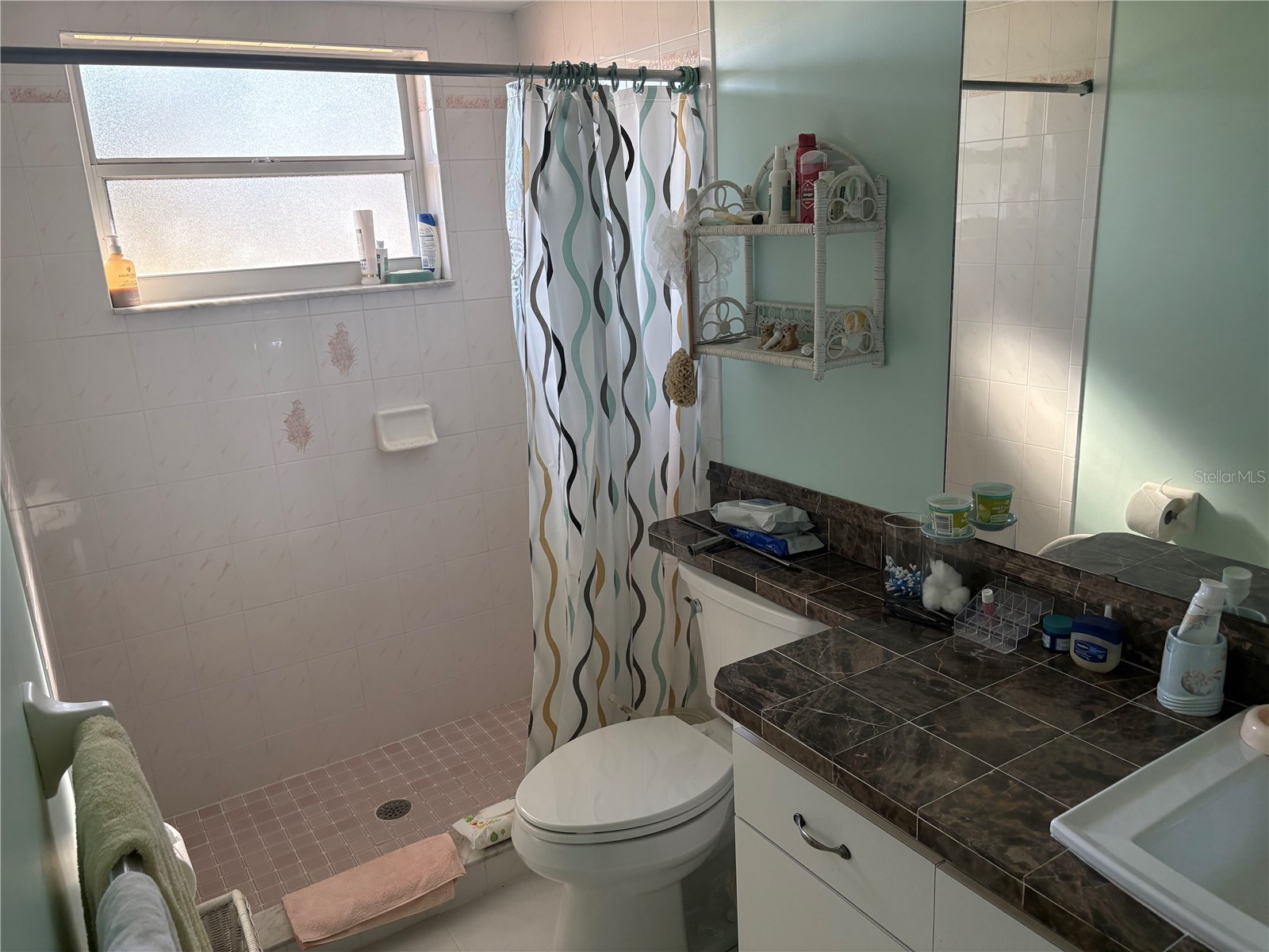 5338 Spanish Trail Holiday FL 34690 TB8462546 image18